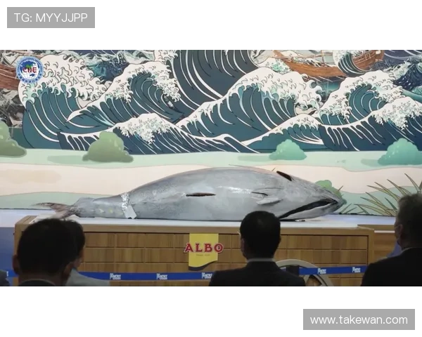 博鱼中国官网最新赔率分析，助你第一时间把握赛事动态赢得更多投注机会