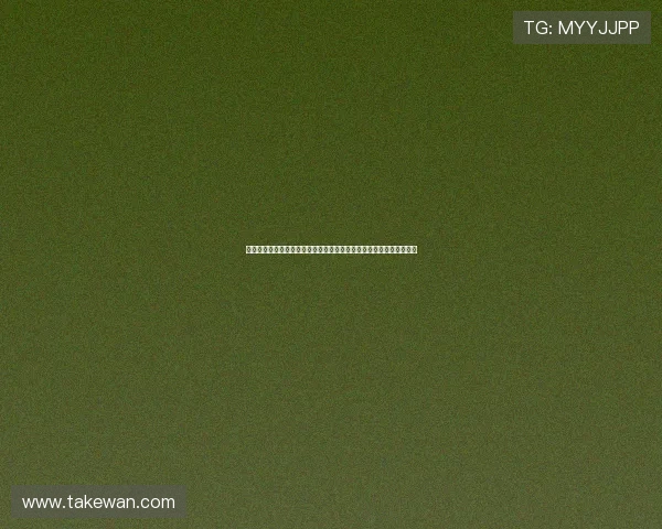 新西兰对埃及比赛焦点解读：世界杯赛场上的战术对决与胜负关键因素